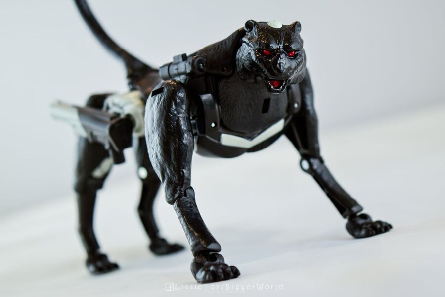 Hasbro Fans Expo 2012 Covert Agent Ravage Decepticons Forever 2 Pack  (9 of 11)